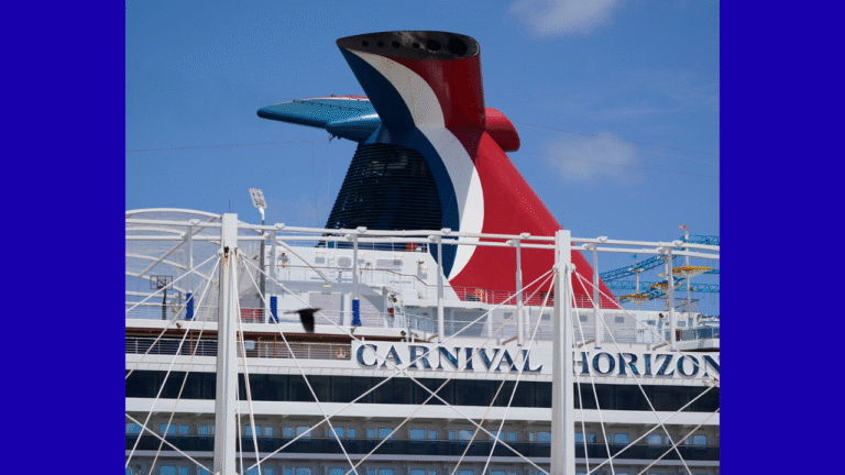 Federal Charges Filed in Cruise Ship Tragedy