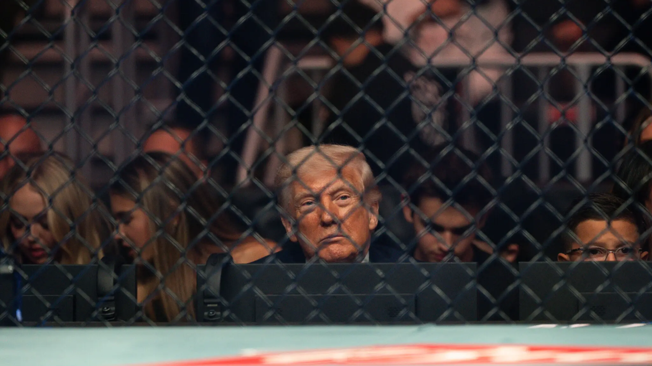 Trump Under Pressure: A Portrait of Conflict, Memes, and the Iran War