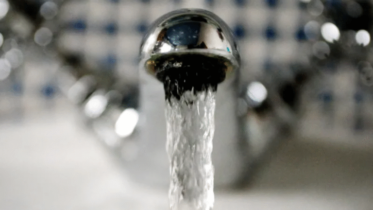 Small Actions, Big Impact: Channel Islands Dodge Water Crisis Despite Record Heat