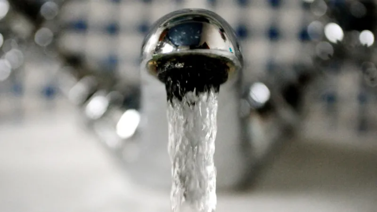 Small Actions, Big Impact: Channel Islands Dodge Water Crisis Despite Record Heat