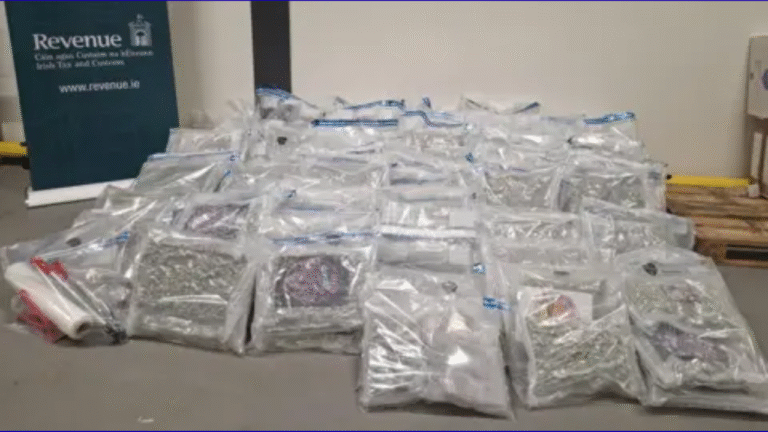 €2.9M Cannabis Haul Intercepted at Rosslare Europort