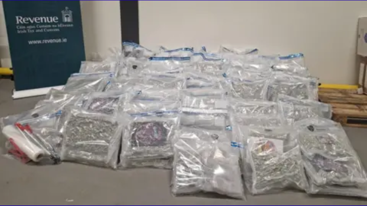 €2.9M Cannabis Haul Intercepted at Rosslare Europort