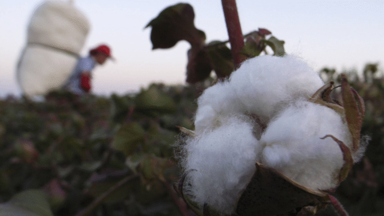 Why Trump’s New "Forced Labor" Tariffs Face Deep Skepticism