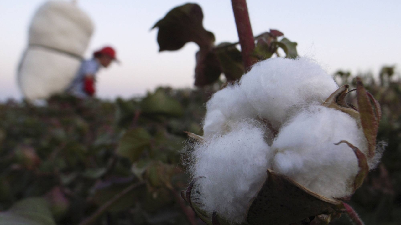 Why Trump’s New "Forced Labor" Tariffs Face Deep Skepticism