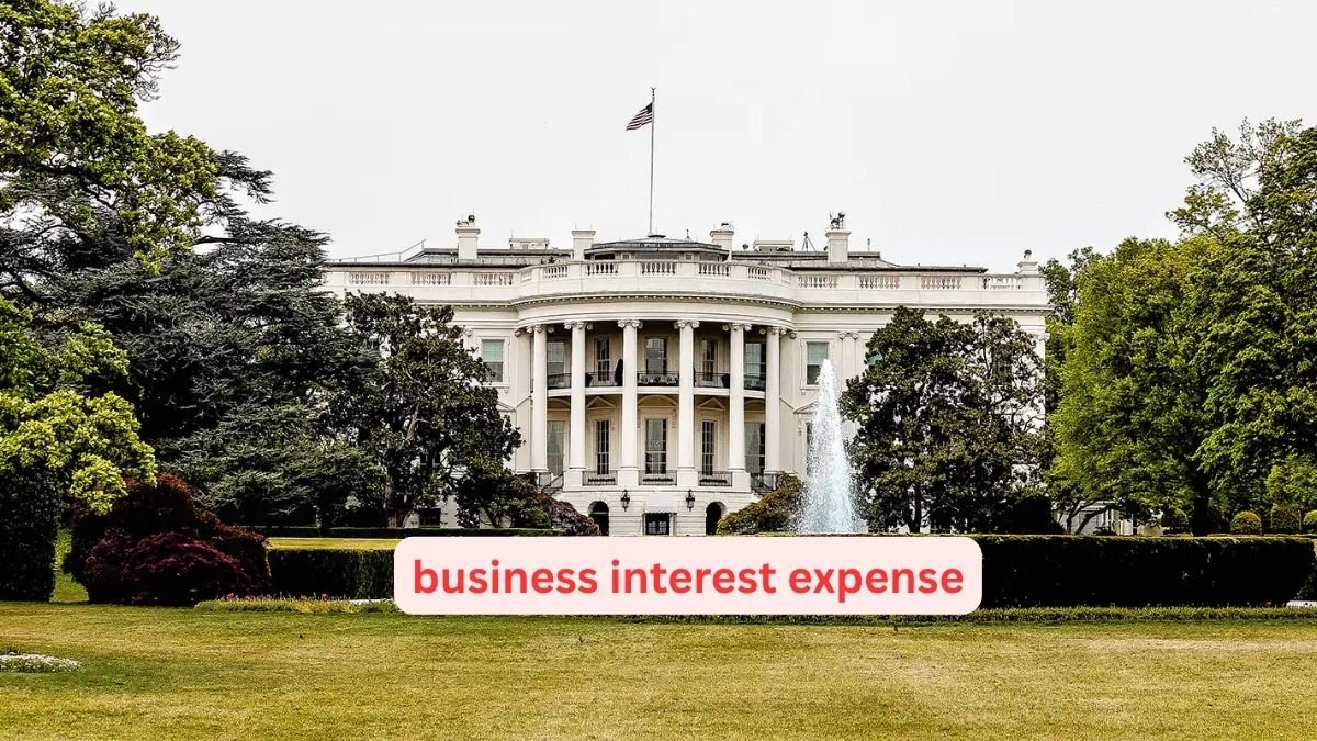 Questions and Answers about the limitation on the deduction for business interest expense