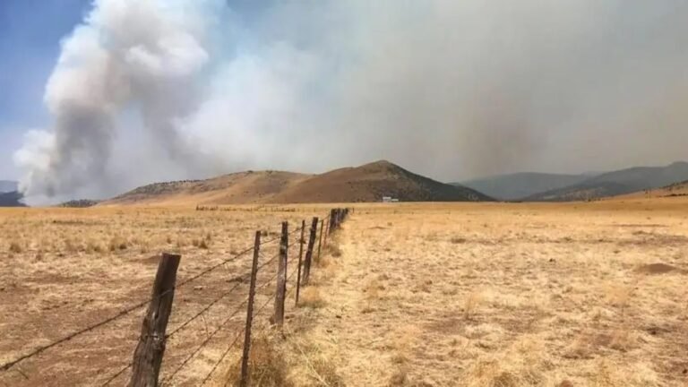 IRS Expands Tax Relief for 49 States Facing Persistent Drought