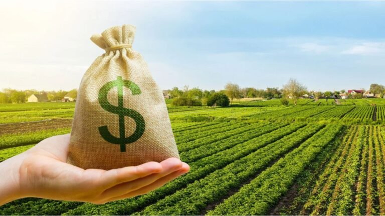 Treasury and IRS Propose 4-Year Tax Deferral Rules for Qualifying Farmland Sales