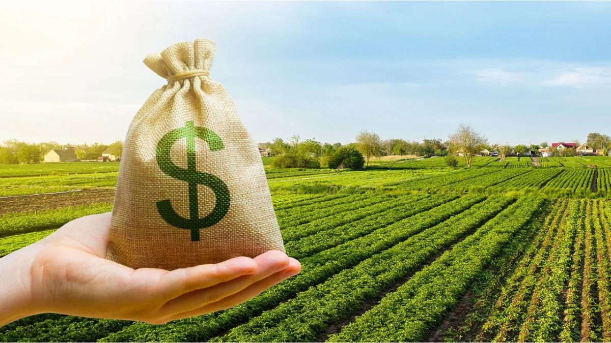 Treasury and IRS Propose 4-Year Tax Deferral Rules for Qualifying Farmland Sales